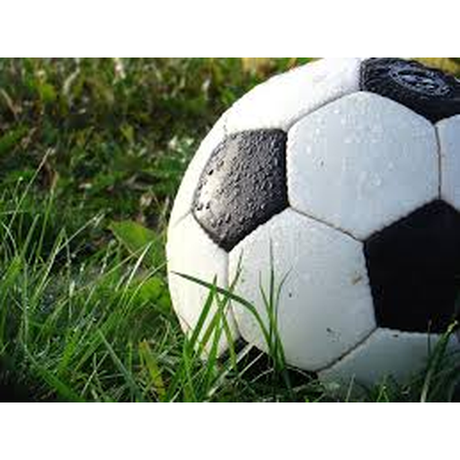 2026国际足联世界杯 - 官方中文网站 - FIFA World Cup 2026