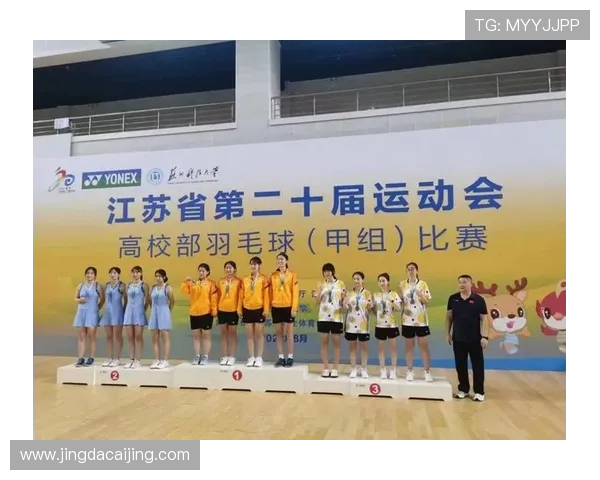 南京羽毛球队战术解析与大满贯赛事表现评析