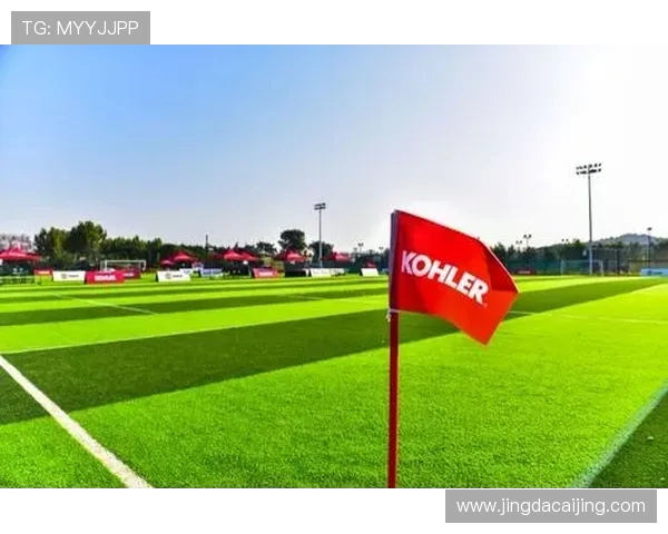 张家界队足球:崛起之路与未来挑战,探索湘西足球新篇章